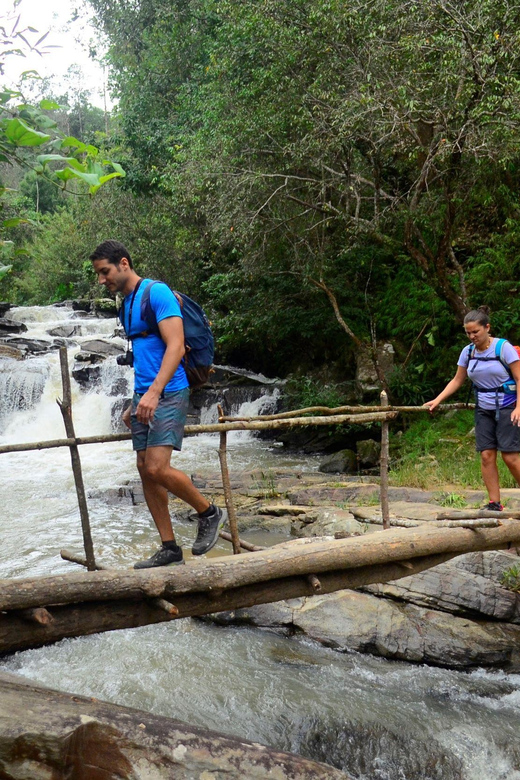 One Day Hiking Tour in Chaing Mai - Highlights of the Tour