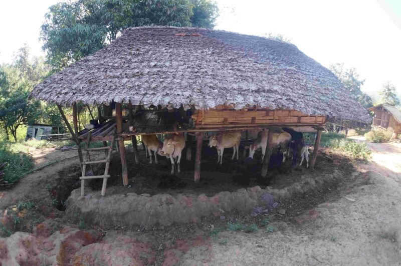 One Day Hiking Tour in Chaing Mai - Preparation Advice