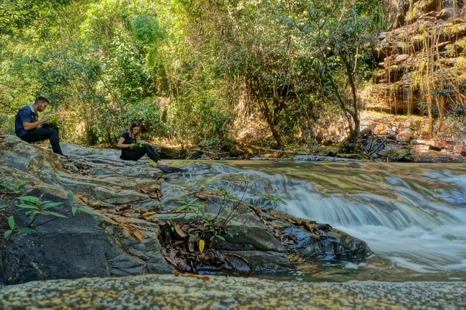 One Day Hiking Tour in Chiang Mai - Scenic Viewpoints and Breaks