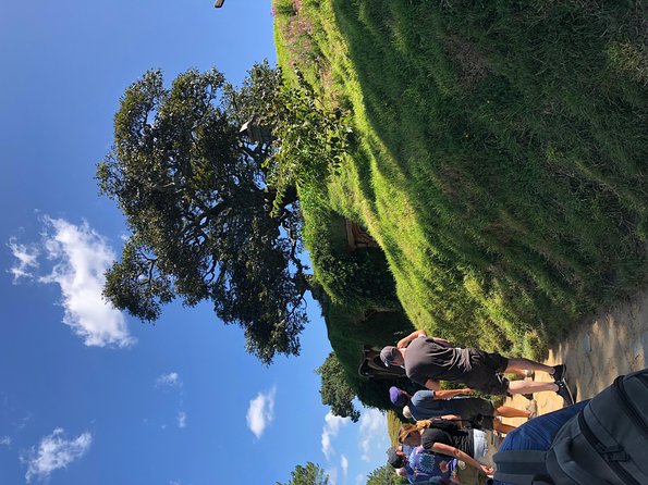 One Day Hobbiton Movie Set Visit From Auckland - Tour Highlights
