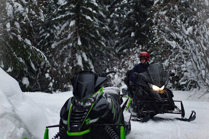 One Day in the Mountains: Bakuriani Ski Resort & Borjomi From Kutaisi - About Your Stay