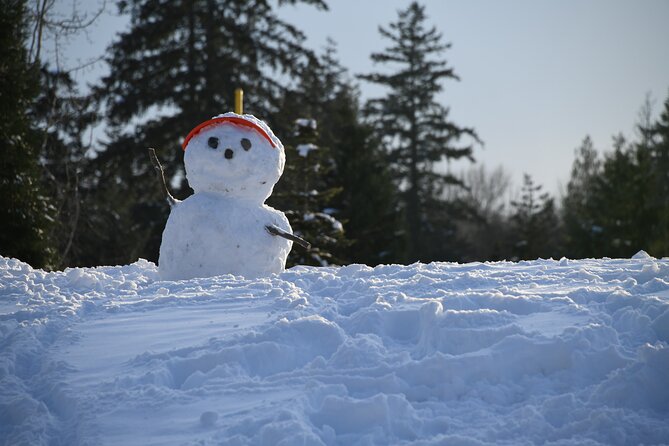 One Day in the Mountains: Bakuriani Ski Resort & Borjomi From Kutaisi - Highlights of the Tour