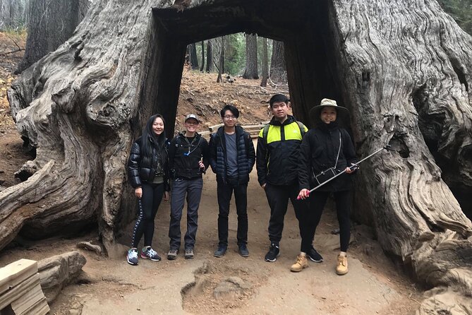One Day In Yosemite Private Tour:Yosemite Valley, Glacier Point & Giant Sequoias - Ideal for Travelers