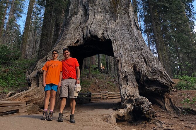One Day In Yosemite Private Tour:Yosemite Valley, Glacier Point & Giant Sequoias - Inclusions and Amenities