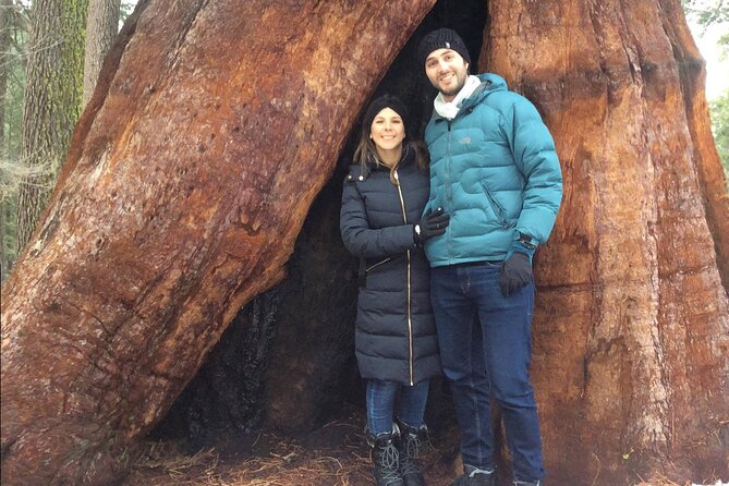 One Day In Yosemite Private Tour:Yosemite Valley, Glacier Point & Giant Sequoias - Accessibility and Fitness Level