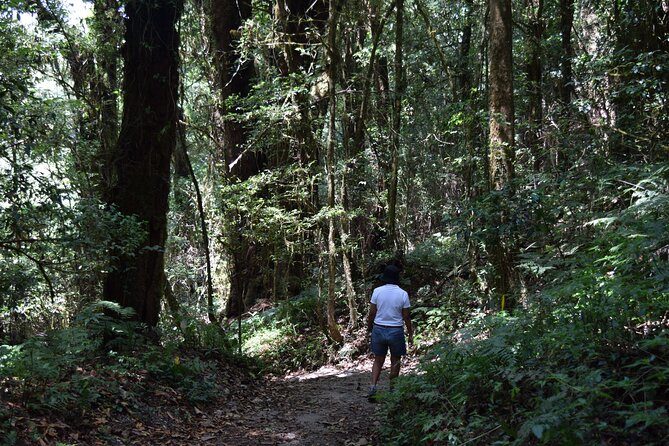 One Day Inthanon National Park (Private Tour) - Inclusions