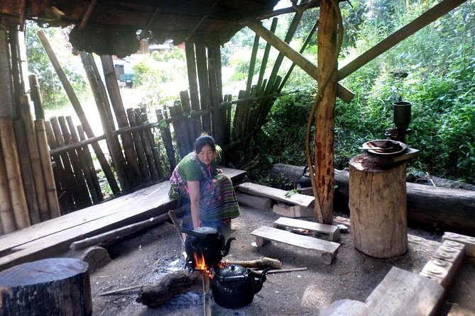 One Day Inthanon National Park (Private Tour) - What to Expect