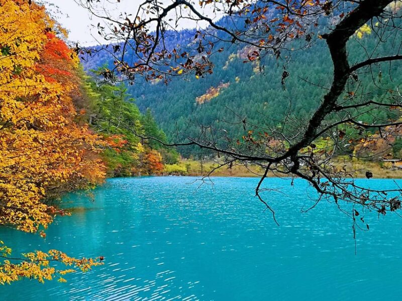 One Day Jade Dragon Snow Mountain Tour in From Lijiang - Customer Reviews