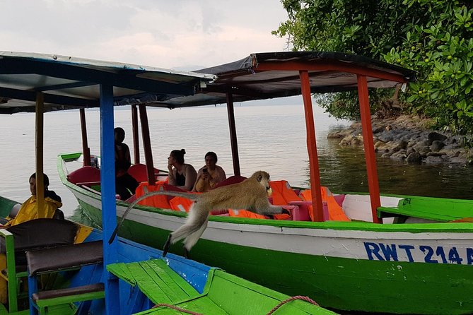 One-day Kivu Lake Adventure - Personalized Experience