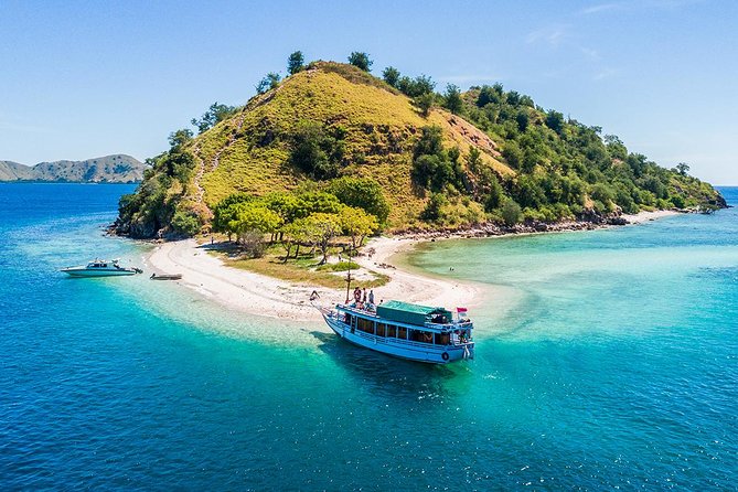 One Day Komodo Trip With Speed Boat - Tour Departure and Activities