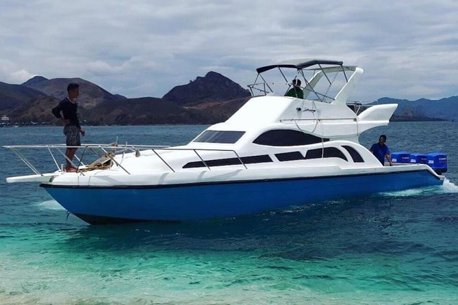 One Day Komodo Trip With Speed Boat - Confirmation and Accessibility