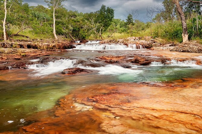 One Day Litchfield Park Adventures + Berry Springs - Tropical Monsoon Vine Forests