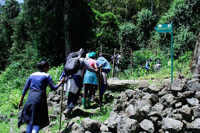 One Day Mount Bisoke Hike Adventure Tour in Volcanoes Park - Preparing for the Mount Bisoke Hike
