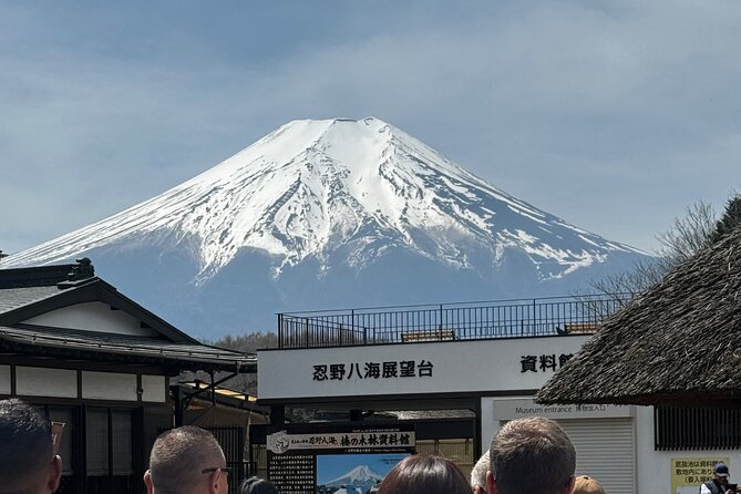 One Day Mountain Fuji & Hakone Tour With English Hindi Bilingual - Accessibility
