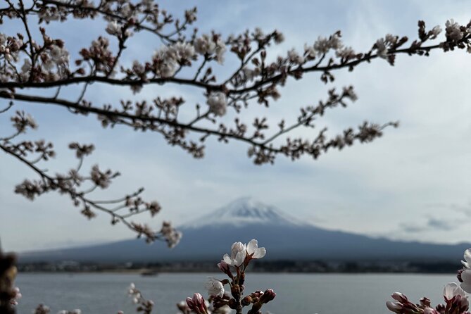 One Day Mountain Fuji & Hakone Tour With English Hindi Bilingual - Cancellation Policy