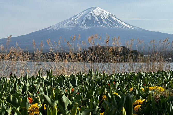 One Day Mountain Fuji & Hakone Tour With English Hindi Bilingual - About Mount Fuji