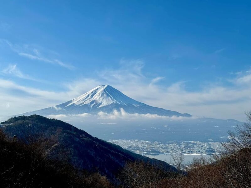 ONE DAY MT. FUJI TOUR INCLUDING ENGLISH DRIVER - Inclusions