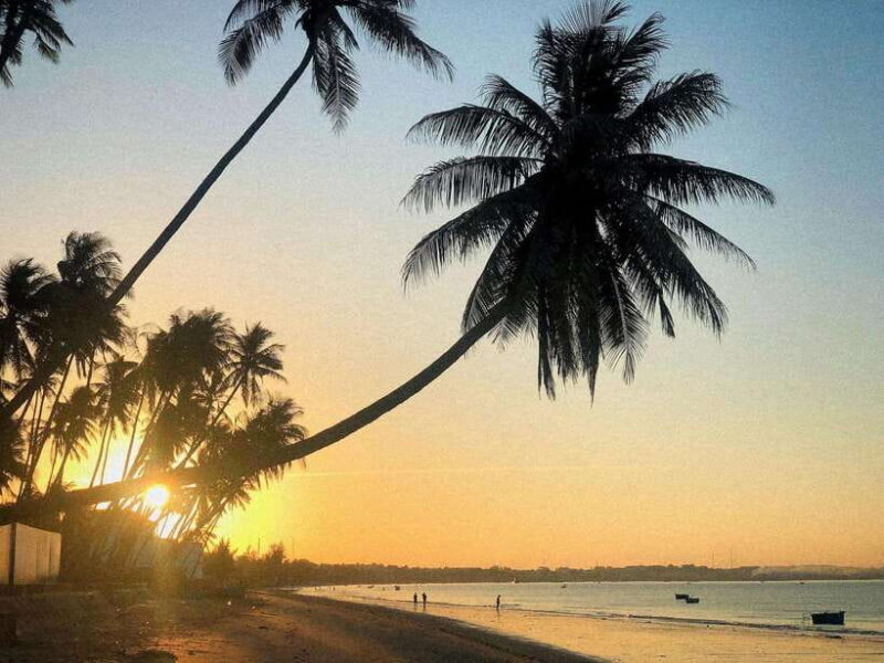 One-Day Mui Ne Adventure From Ho Chi Minh City - Included Services