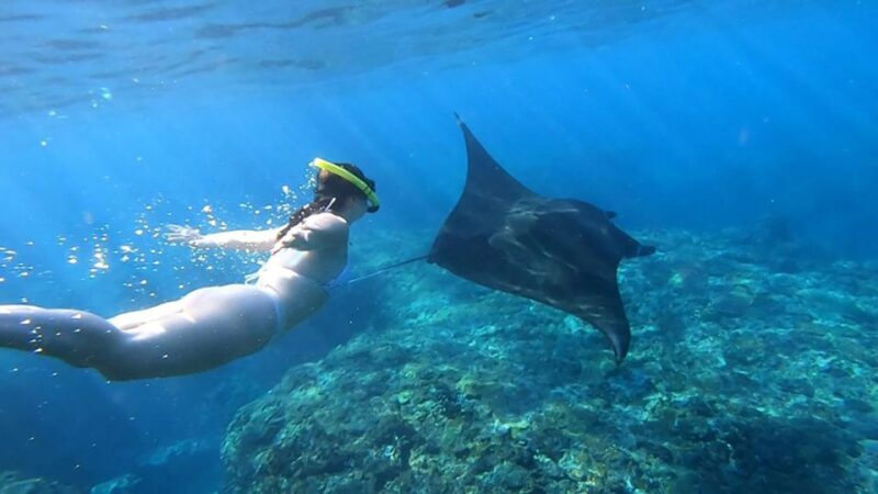 One Day Nusa Penida Island West With Snorkeling - Itinerary and Experience