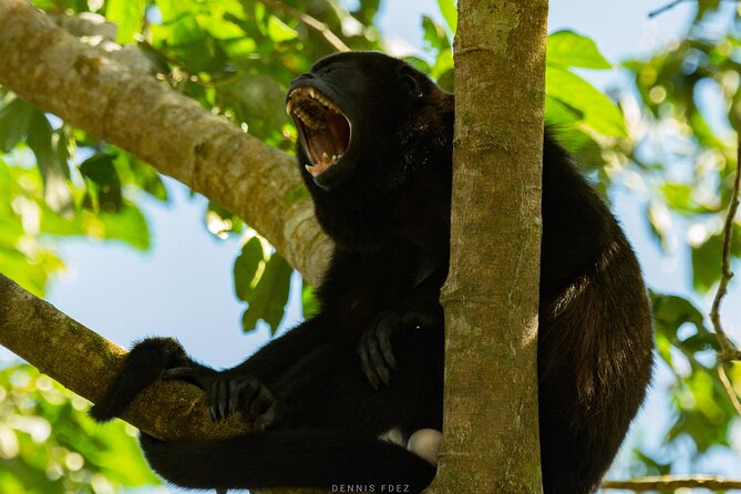 One Day Of Nature in Monteverde - Booking and Cancellation Policy