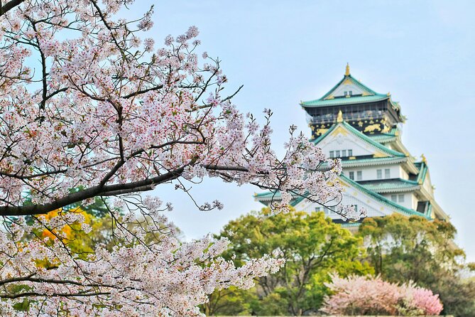 One Day Osaka Expo  Kansai Admission Ticket - Highlights of the Expo