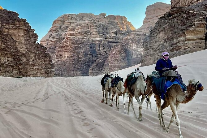 One Day Petra & Wadi Rum From Aqaba - Cancellation Policy