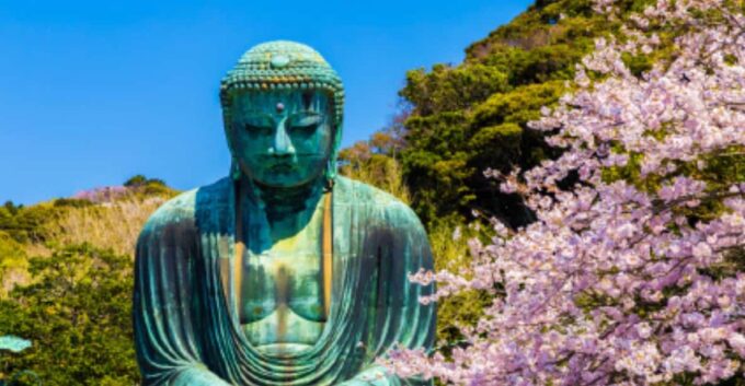 One Day Private Customized Self-Guided Tour in Kamakura - Private Transportation and Drivers