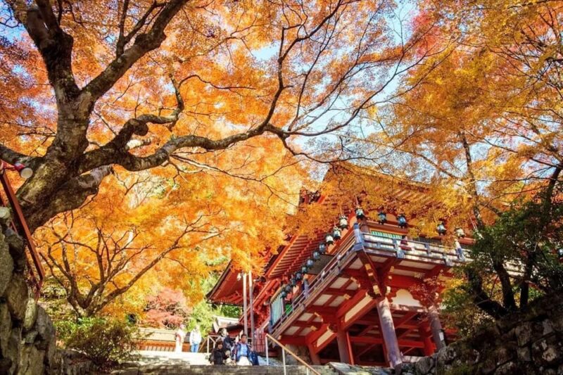 One Day Private Customized Self-Guided Tour in Nara - Sightseeing and Self-guided Tours