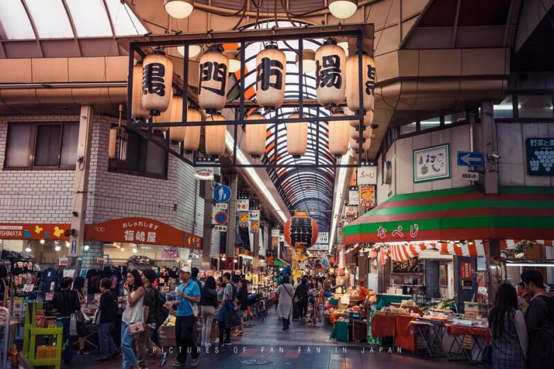 One Day Private Customized Self-Guided Tour in Osaka - Included/Optional Services