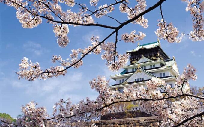 One Day Private Customized Self-Guided Tour in Osaka - Additional Charges