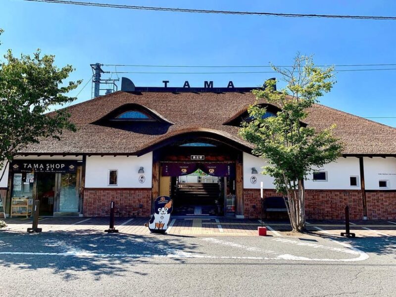 One Day Private Customized Self-Guided Tour in Wakayama - Top Attractions and Hidden Gems