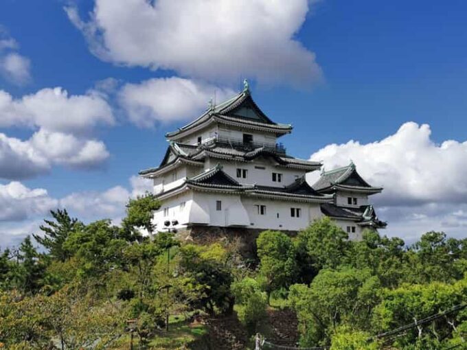 One Day Private Customized Self-Guided Tour in Wakayama - Booking and Reservation Details