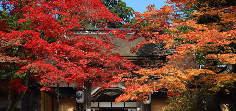 One Day Private Customized Self-Guided Tour in Wakayama - Pickup and Drop-off