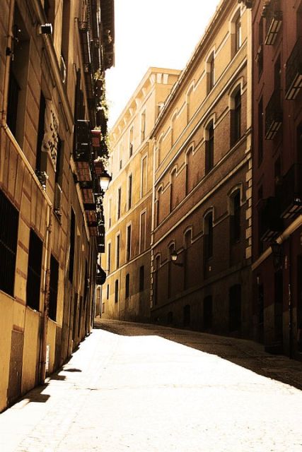 One-Day Private Guided Tour in Madrid - Customizable Experience