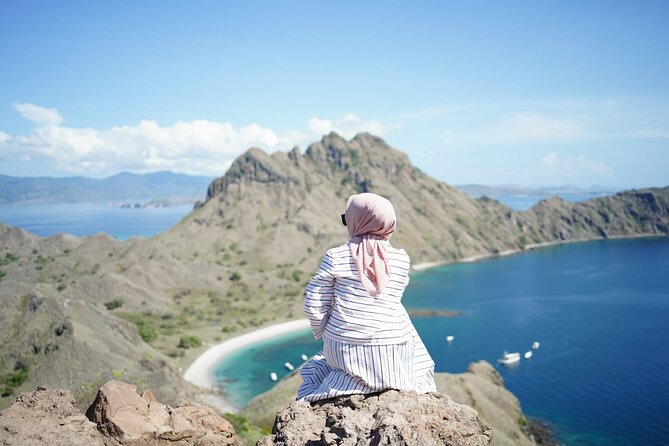 One Day Private Speedboat Tour to Komodo National Park - Key Points
