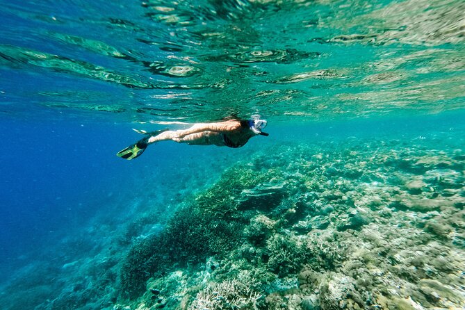 One Day Private Speedboat Tour to Komodo National Park - Meeting and Pickup