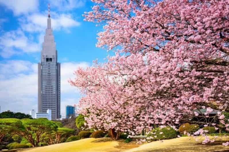 One Day Private Tokyo Tour With English Guide - Key Points