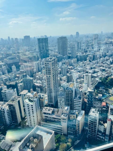 One Day Private Tokyo Tour With English Guide - Transportation and Itinerary Flexibility