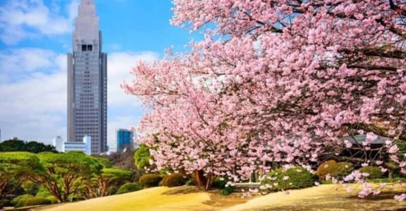 One Day Private Tokyo Tour With English Guide - Inclusions and Additional Costs