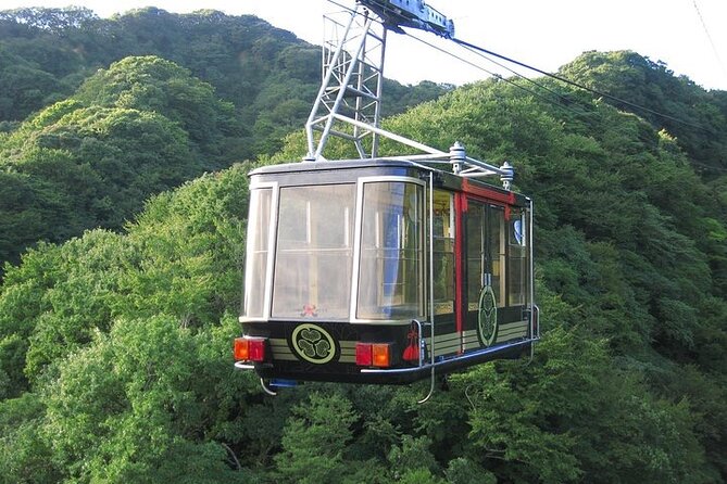 One Day Private Tour Around Shimizu Port for Cruise Passengers - Meeting and Pickup