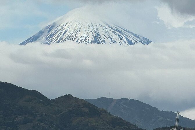 One Day Private Tour Around Shimizu Port for Cruise Passengers - Tour Accessibility