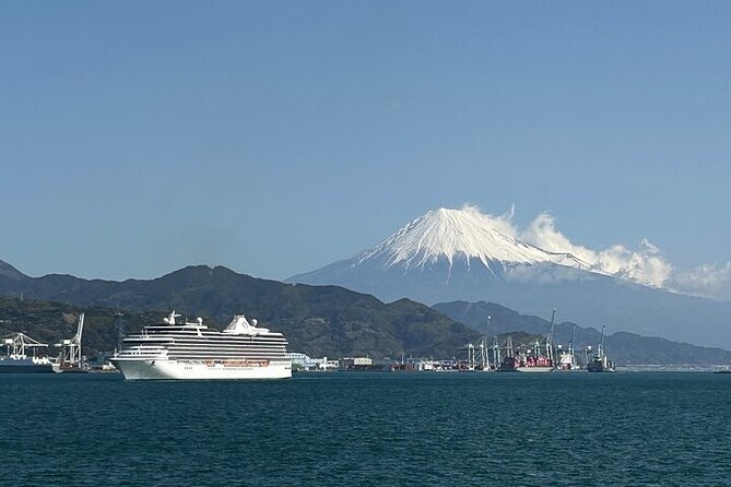 One Day Private Tour Around Shimizu Port for Cruise Passengers - Participant Eligibility