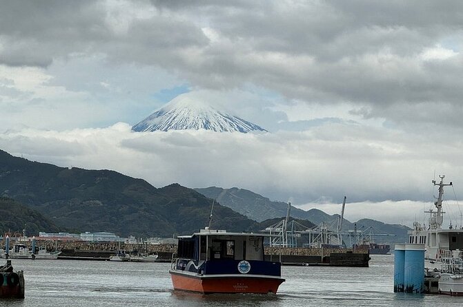 One Day Private Tour Around Shimizu Port for Cruise Passengers - Additional Information
