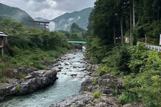 One Day Private Tour in Nikko From Tokyo - Transportation and Logistics