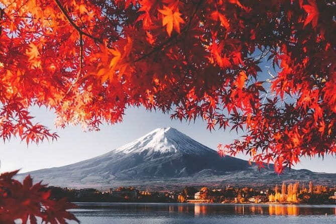 One Day Private Tour in Nikko From Tokyo - Past Traveler Reviews and Ratings
