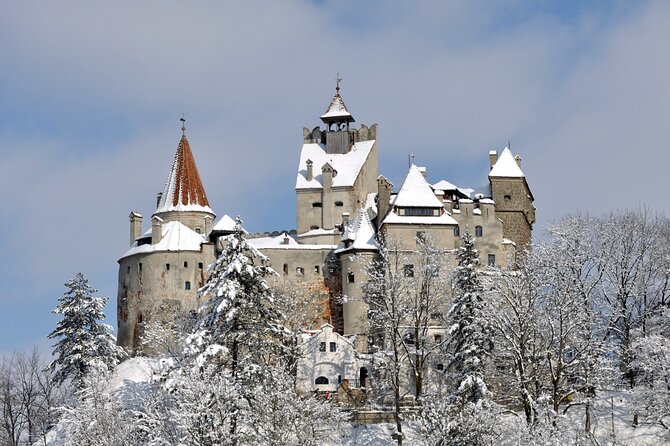 One Day Private Tour Into Transylvania - Reviews and Feedback