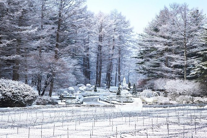 One Day Private Tour-Nami, Petite and Garden of Morning Calm - Petite France Excursion