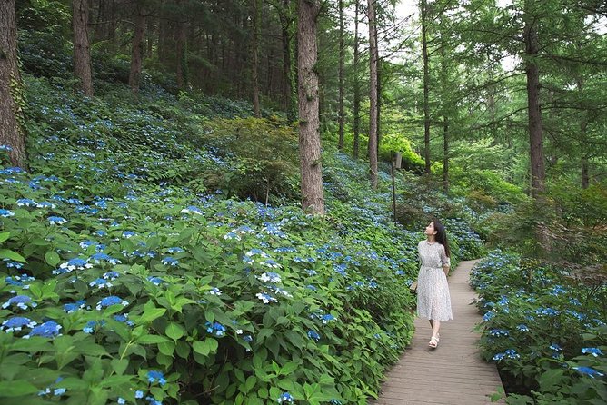 One Day Private Tour-Nami, Petite and Garden of Morning Calm - Garden of Morning Calm Visit