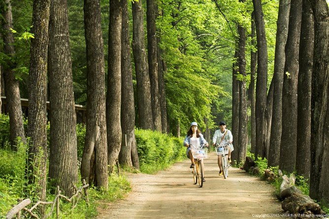 One Day Private Tour-Nami, Petite and Garden of Morning Calm - Transportation and Guide