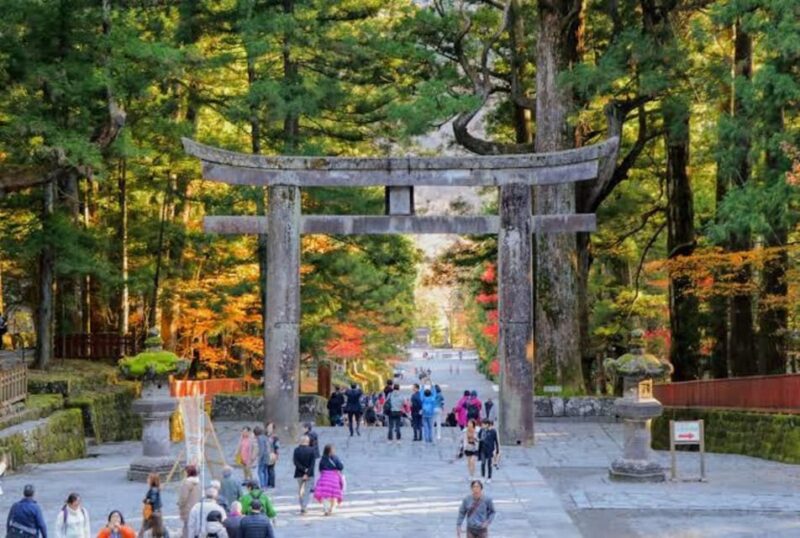 One Day Private Tour Nikko Tochigi by Car With Guide - Things to Bring